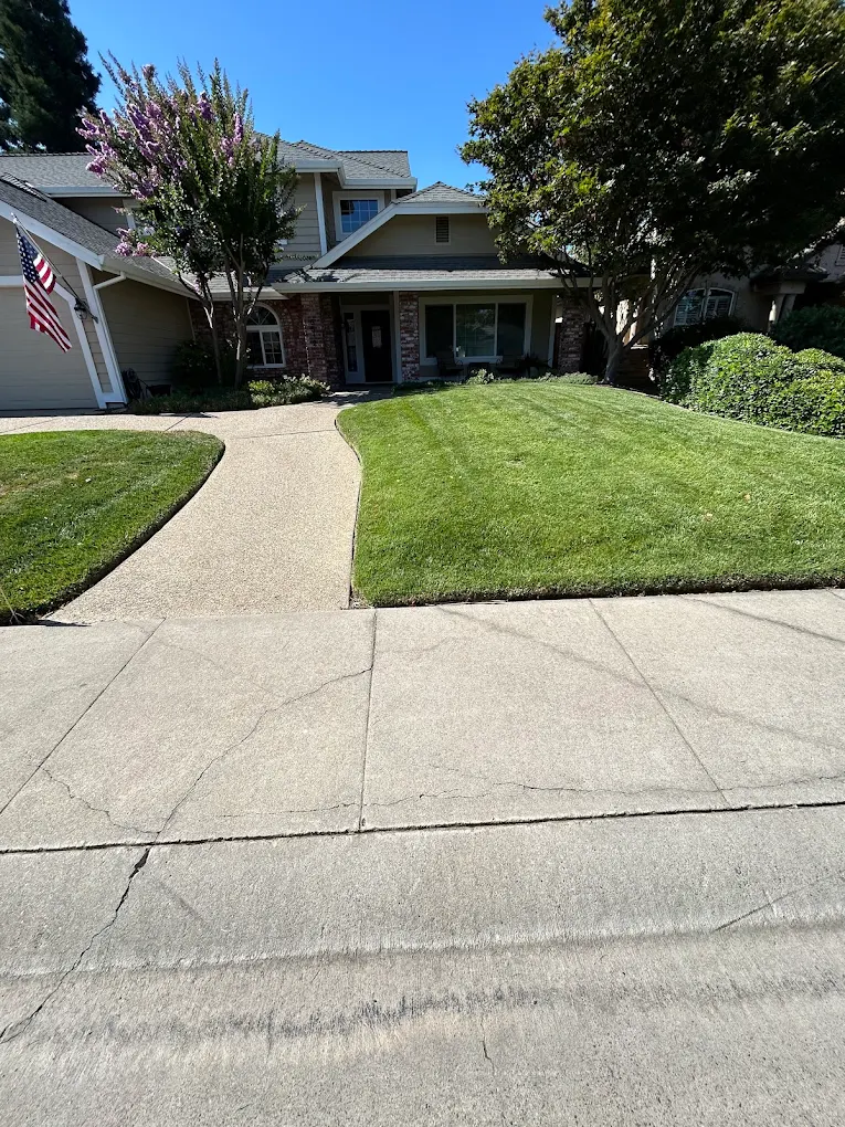Freshly mowed front lawn with striped pattern, trimmed hedges, and manicured landscaping at residential property
