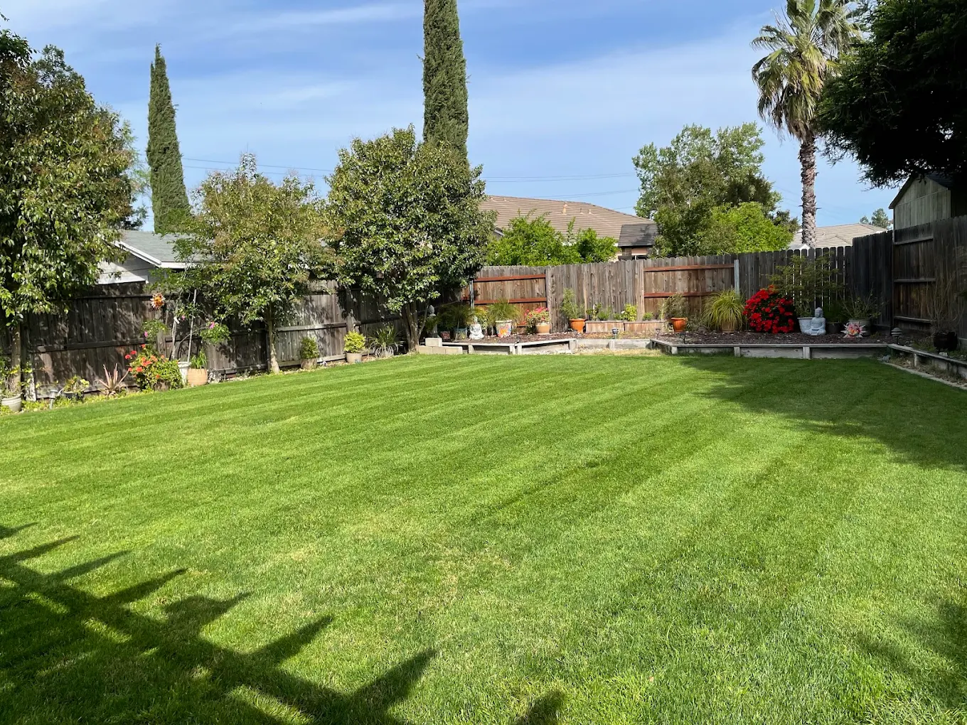 Freshly mowed residential backyard with striped green grass, mature trees, wooden fence, and landscaped garden beds