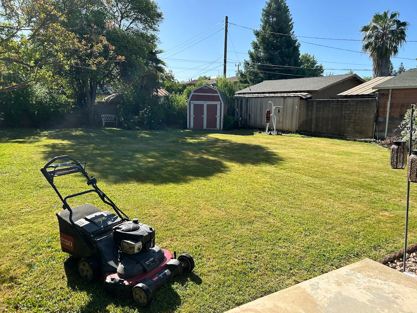 Freshly mowed residential backyard with striped lawn pattern and Toro mower in Sacramento area
