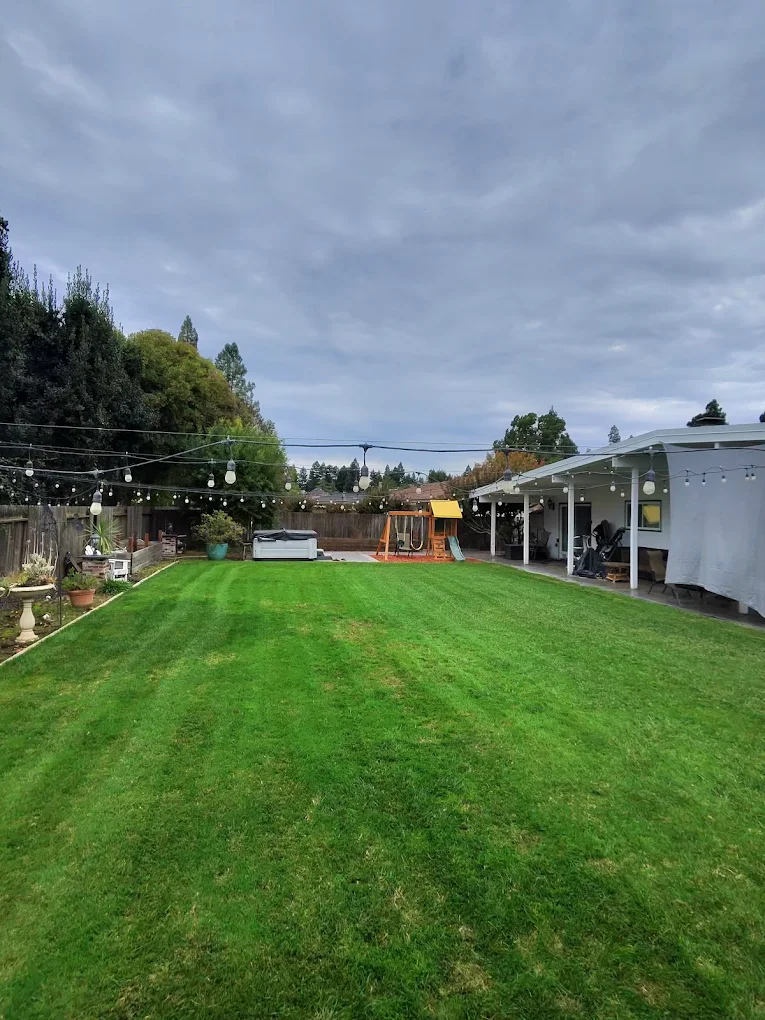 Freshly mowed residential backyard with striped grass pattern, featuring covered patio and play area