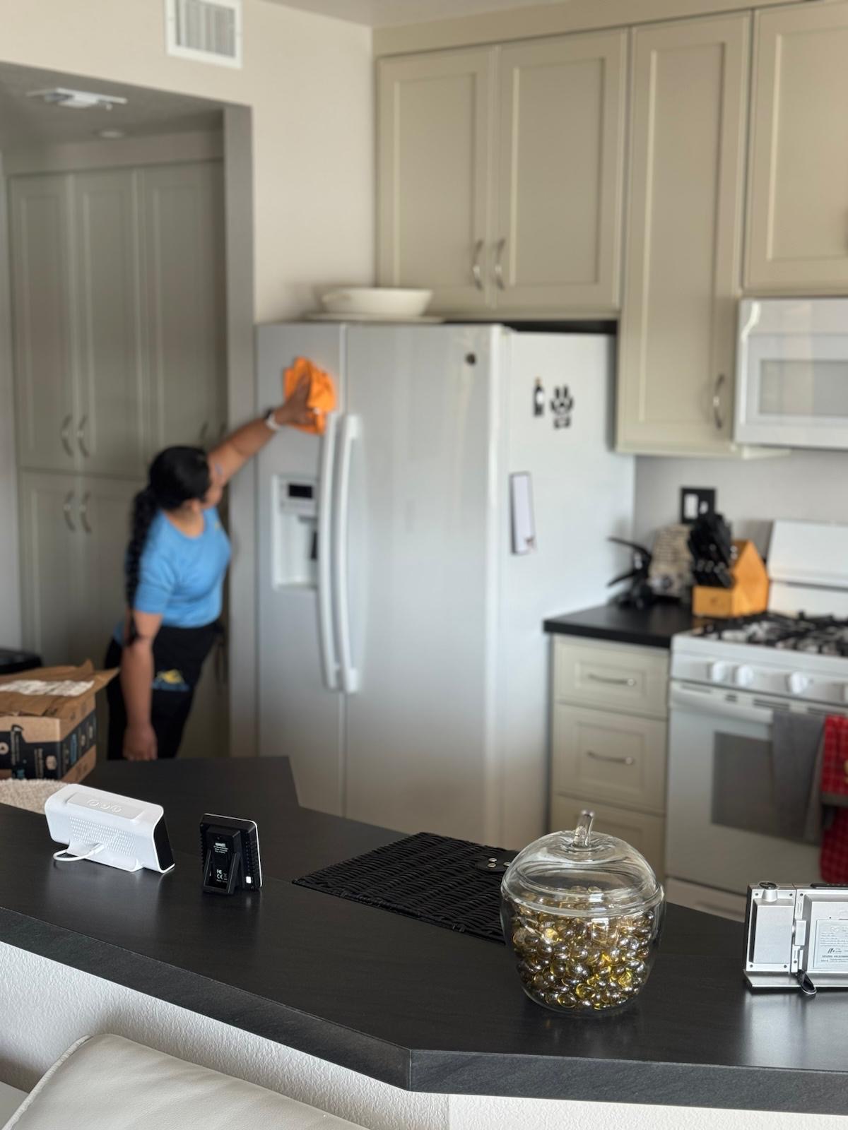 Refrigerator Cleaning